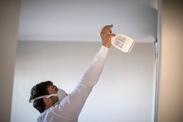 Best Home Mold Removal  in Waverly, VA