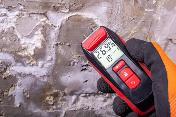 Best Best Mold Removal Companies  in Waverly, VA