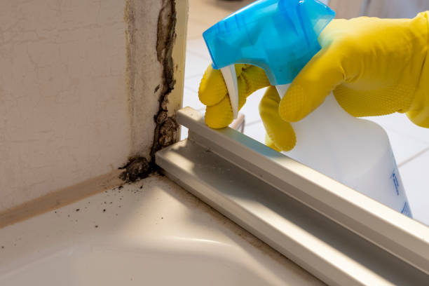 Best Mold Testing  in Waverly, VA