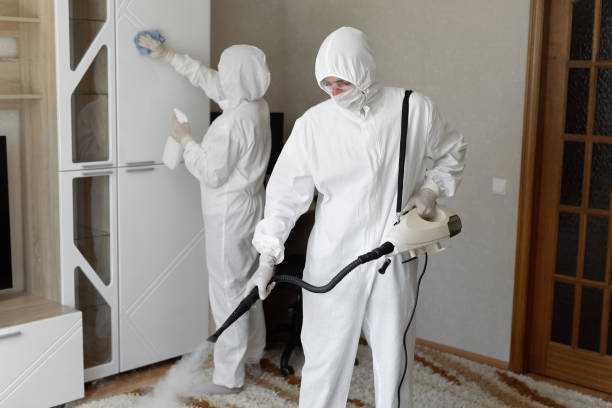 Waverly, VA Mold Removal Company
